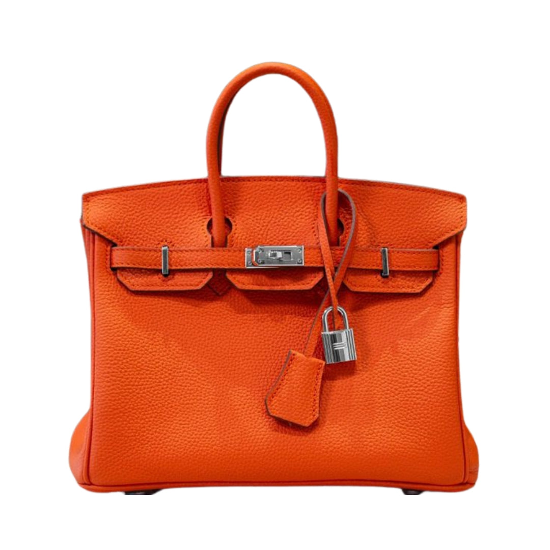 BIRKIN RETOURNE