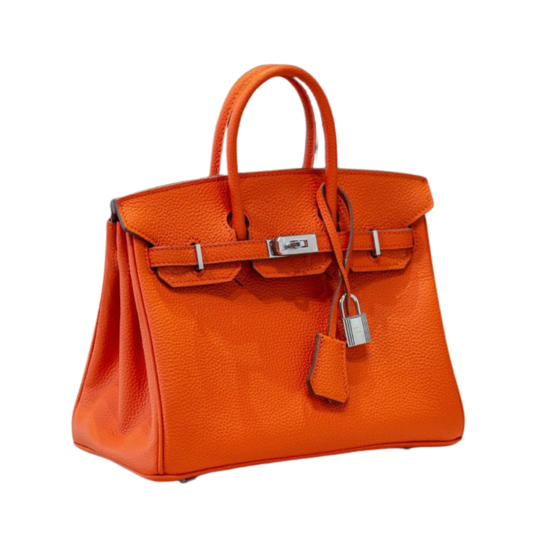 BIRKIN RETOURNE