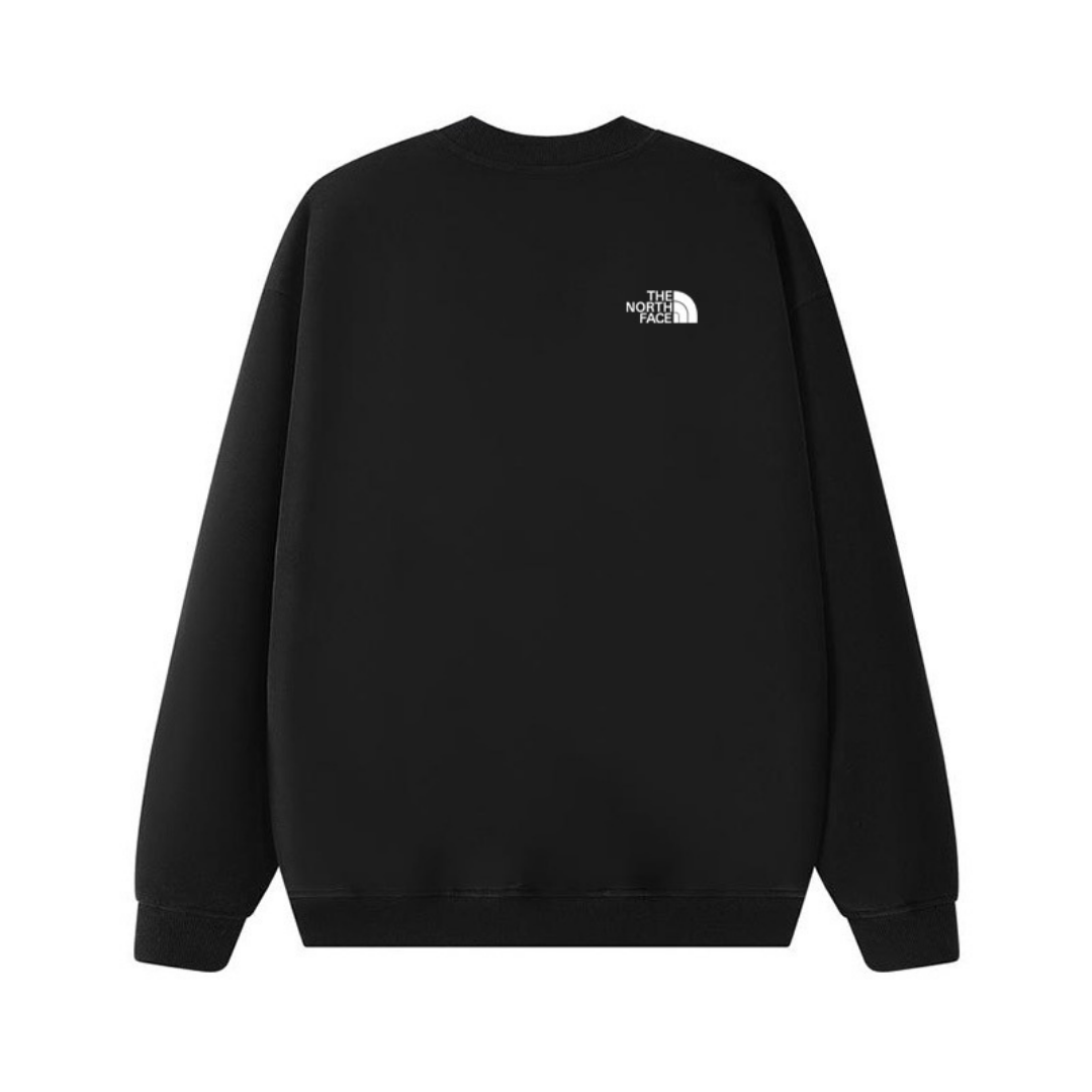 Tnf Monochromatic Hoodie
